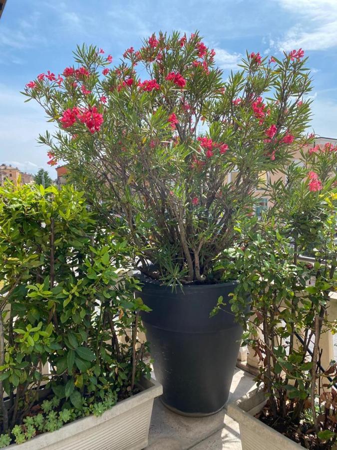 Juliet's Terrace Free Park Appartamento *